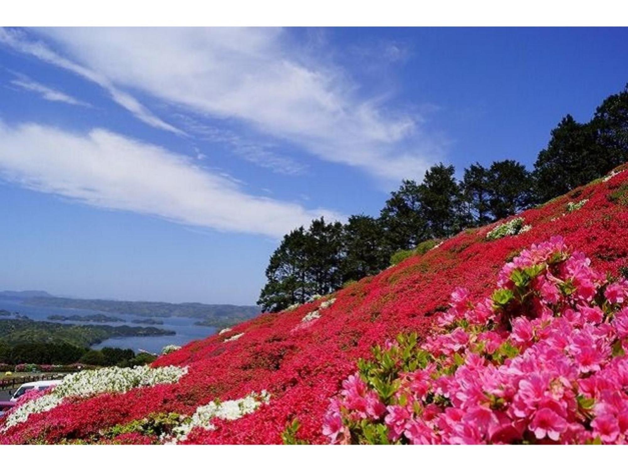 The Paradise Garden ซาเซะโบ ภายนอก รูปภาพ